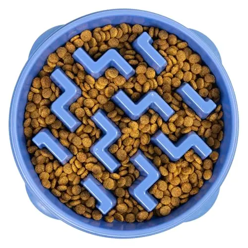 Outward Hound large blue slow feeder dog bowl